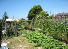 Kwikfynd Vegetable Gardens
leederville-wa